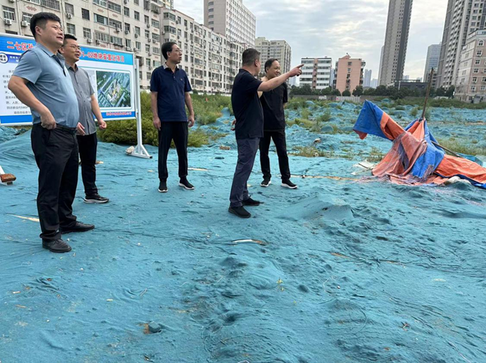 集團(tuán)公司黨委委員、副總經(jīng)理張巖到侯寨新鎮(zhèn)區(qū)安置區(qū)調(diào)研項目建設(shè)工作